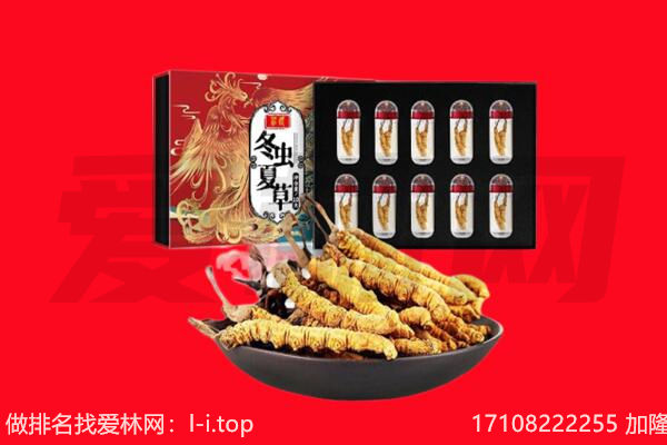 天峨县回收虫草.jpg